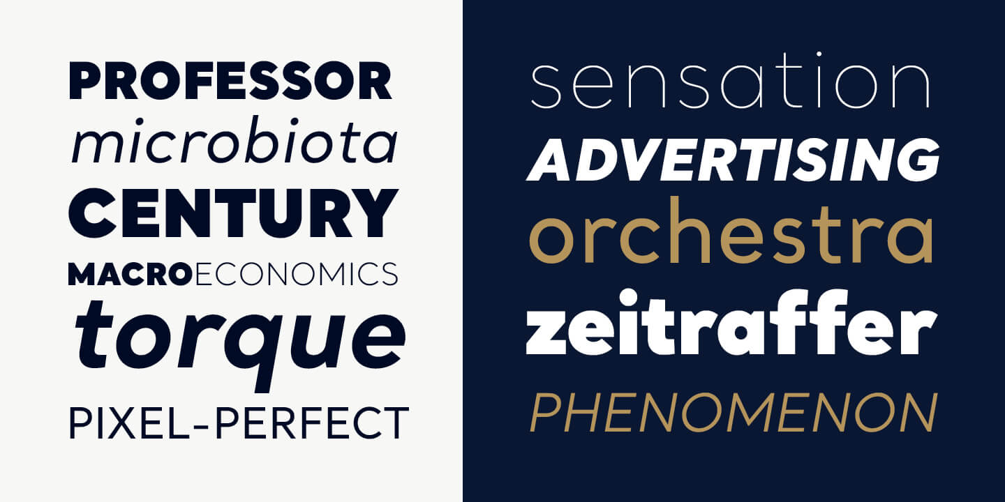 Santral_Myfonts-_posters11